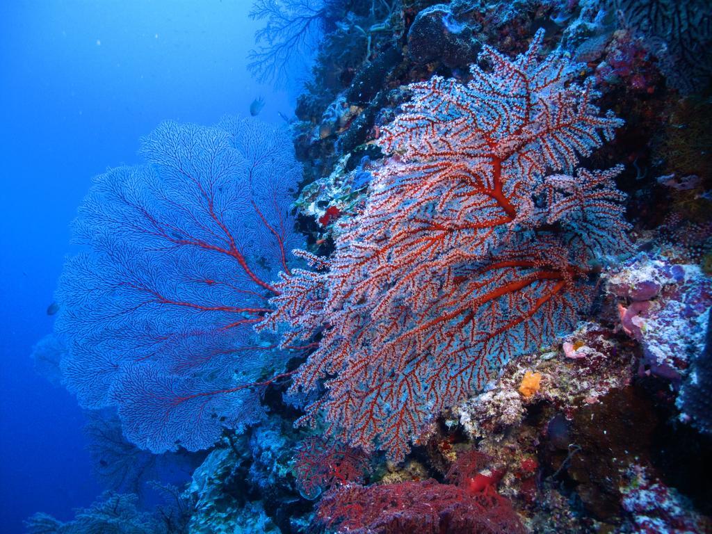 Apartmán Diving Center Punta Stilo Exteriér fotografie