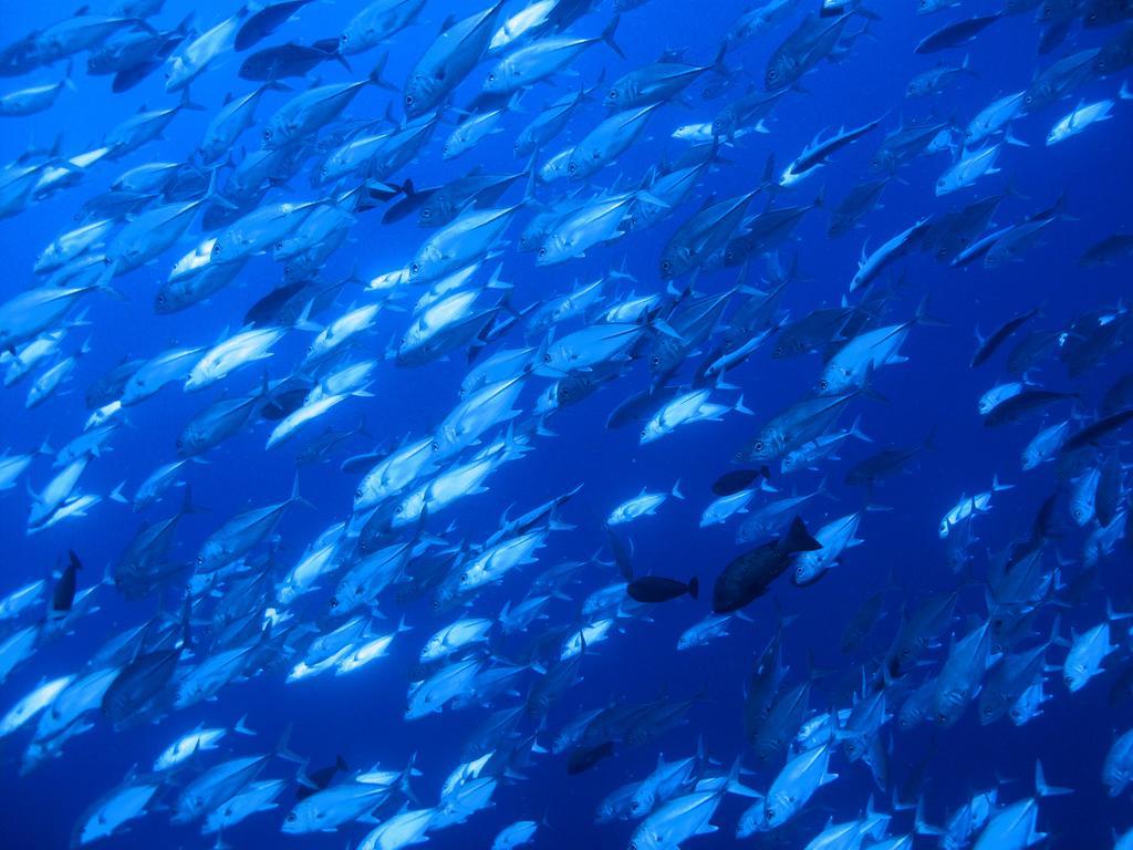 Apartmán Diving Center Punta Stilo Exteriér fotografie
