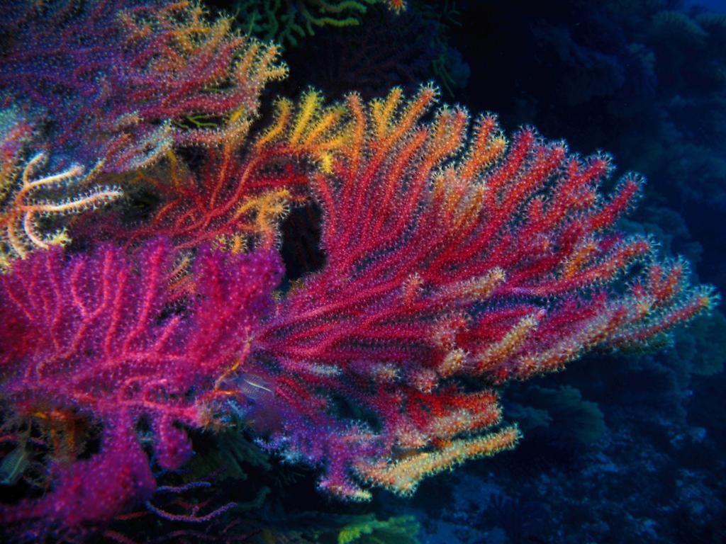 Apartmán Diving Center Punta Stilo Exteriér fotografie
